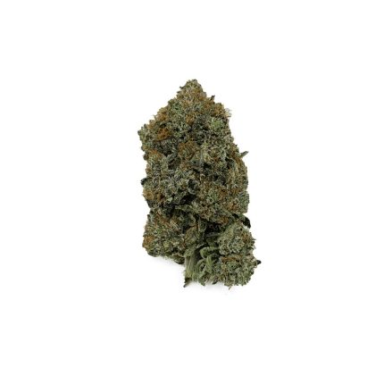 What is 420 and how did 'weed day' get its name?