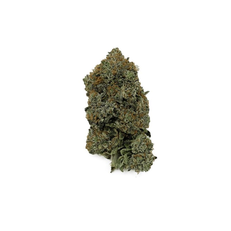 What is 420 and how did 'weed day' get its name?